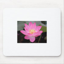 Pink Lotus Flower In Bloom Mousepad