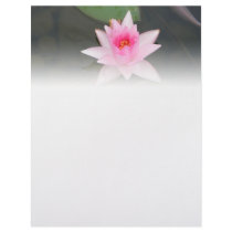 Pink Lotus Flower Customized Letterhead