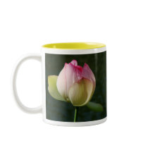 Pink Lotus Flower Mug by farmer77 Pink Lotus Flower Mug