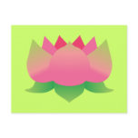 Pink Lotus Flower Postcard
