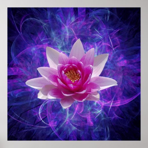 Pink lotus flower poster | Zazzle