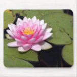 Pink Lotus Mousepad