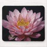 Pink Lotus Mouse Pads