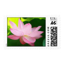 Pink Lotus postage by beverlytazangel Pink Lotus postage