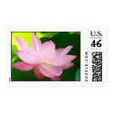 Pink Lotus postage
