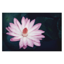Pink Lotus Stationery