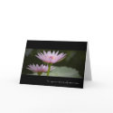 Pink Lotus • Sympathy Card