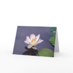 Pink Lotus with Dragon Fly Greeting Cards