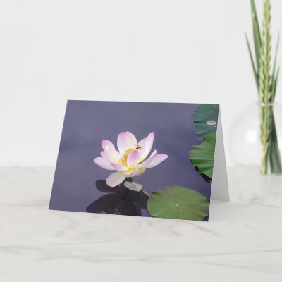 Pink Lotus with Dragon Fly Greeting Cards