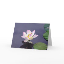 Pink Lotus with Dragon Fly cards by MovingLight Pink Lotus with Dragon Fly cards