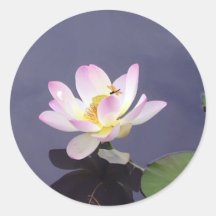 Pink Lotus with Dragon Fly Round Stickers