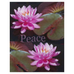 Pink Lotus with Peace flyers