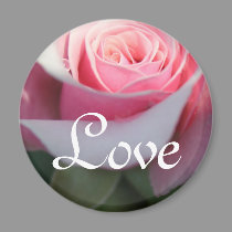 Pink Love Rose magnets by sharpcreations Pink Love Rose magnets