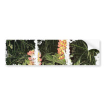 Pink Lupine Flowers in Maine bumper stickers by eelkat Pink Lupine Flowers in Maine bumper stickers