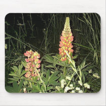 Pink Lupine Flowers in Maine mousepads by eelkat Pink Lupine Flowers in Maine mousepads