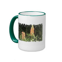Pink Lupine Flowers in Maine mugs by eelkat Pink Lupine Flowers in Maine mugs