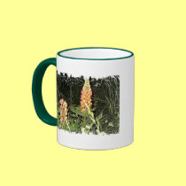 Pink Lupine Flowers in Maine mugs