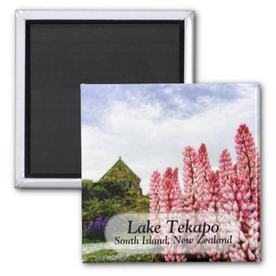 Pink Lupins @ Lake Tekapo New Zealand Magnet magnet