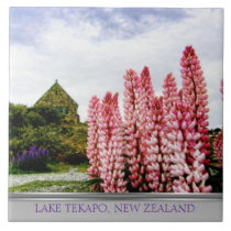 Pink Lupins @ Lake Tekapo New Zealand tiles