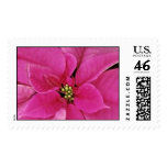 Pink Madness Stamp