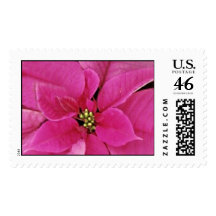 Pink Madness Stamp