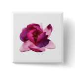 Pink Magnolia Closeup buttons