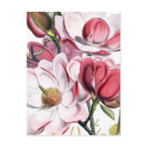 Pink Magnolia Flowers postcards