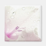 Pink Magnolia Magnet magnets