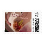 Pink Magnolia • March Wedding Stamp