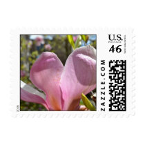 Pink Magnolia postage
