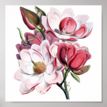 Pink Magnolia Posters
