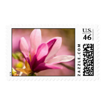 Pink Magnolia Stamp