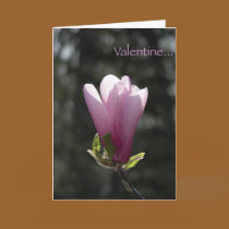 Pink Magnolia Valentine's Day Card