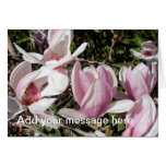 Pink Magnolias Card