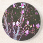 Pink Magnolias Coasters