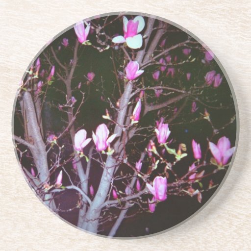 Pink Magnolias Coasters