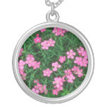 Pink Maiden Pink, (Dianthus Deltoides) flowers Necklaces