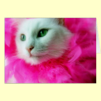 Pink Mane cards by JCatGarden Pink Mane cards