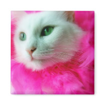 Pink Mane magnets