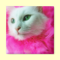 Pink Mane magnets