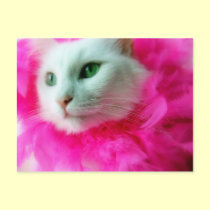 Pink Mane postcards by JCatGarden Pink Mane postcards