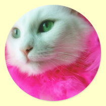 Pink Mane stickers