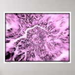 Pink Marigold Print