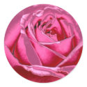 Pink Metallic Rose stickers by rosesbythebay Pink Metallic Rose stickers