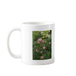 Pink Miniature Roses 1 Pink Miniature Roses 1