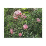 Pink Miniature Roses 1 Pink Miniature Roses 1
