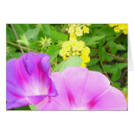 Pink Morning Glories Growing by Yellow Lantana Cards