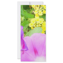 Pink Morning Glories Growing by Yellow Lantana rack cards by JudyMarisaEclecticCo Pink Morning Glories Growing by Yellow Lantana rack cards