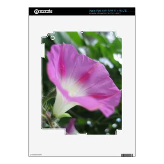 Pink Morning Glory Flower Decal For iPad 3
