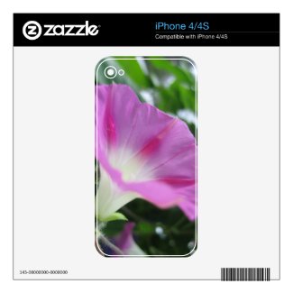 Pink Morning Glory Flower Decal For The iPhone 4S